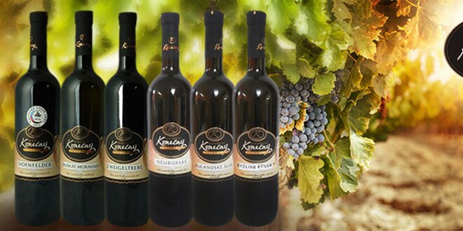 Výběr 6 přívlastkových vín z Čejkovic
