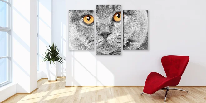 Výběr 68 trojdílných obrazů na malířském plátně