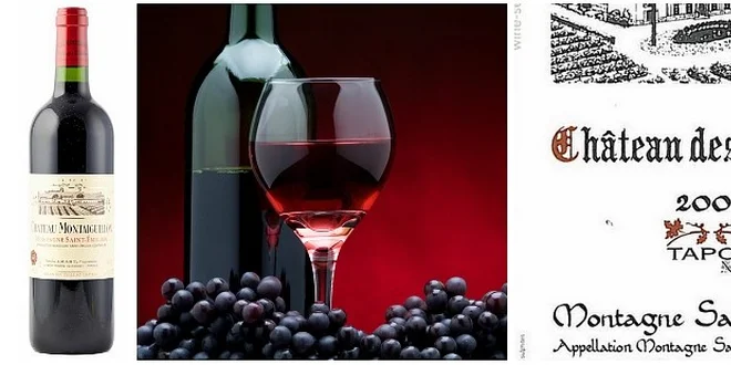 Chateau des Moines 2009, Montagne-Saint-Émilion