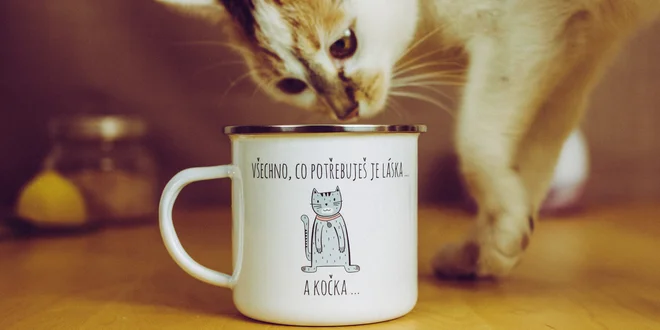Plecháčky na kávu i čaj s vtipnými nápisy