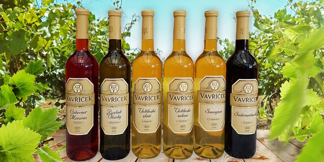 3 nebo 6 lahví vína z rodinného vinařství Vavříček