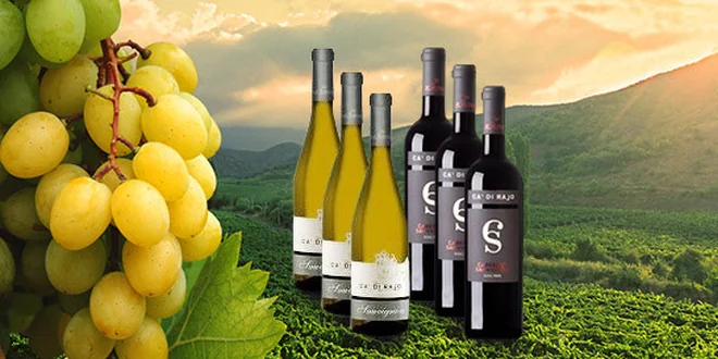 6 výtečných italských vín. Set bílých i červených!