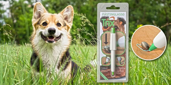 Patentované laso na odstranění klíšťat ze zvířat