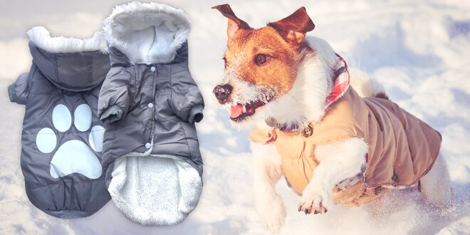 Hřejivé oblečky pro vaše malé psí kamarády