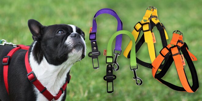 Nylonové postroje a bezpečnostní pásy pro psy
