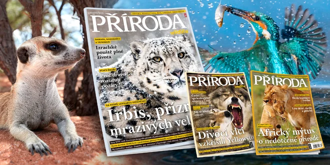 Časopis Příroda: kompletní ročník 2018 s bonusy