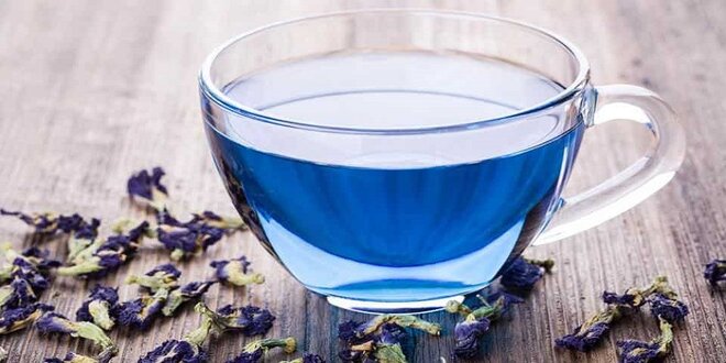 Vzácný modrý čaj zpracovaný jako Blue Matcha