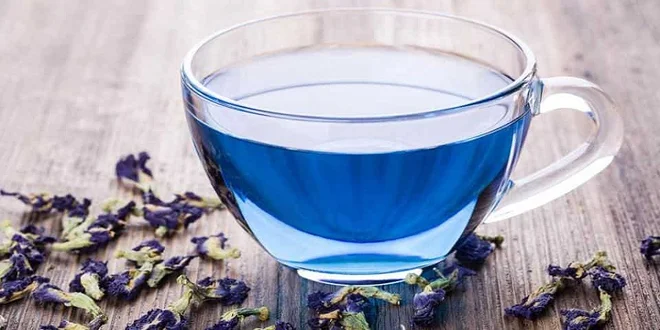 Vzácný modrý čaj: sušené květy či matcha prášek