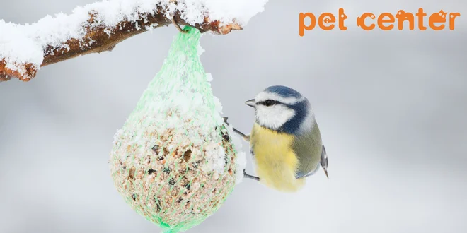 Krmení pro ptáčky: lojové koule Perfecto Bird