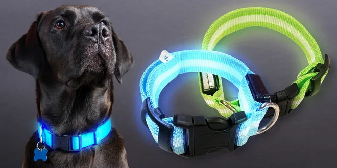 Svítící LED obojky s nabíjením přes USB pro psy