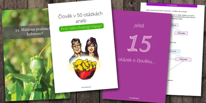 Člověk v 50 otázkách: Proč nám chutnají chipsy?