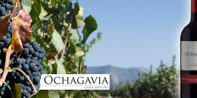 219 Kč za dvě vynikající vína Ochagavia z Chile!