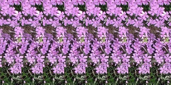 Magický trojrozměrný obrázek (stereogram) na míru v hodnotě 59 Kč