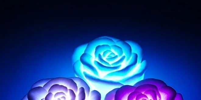 69 Kč za Svítící LED růži s dárkem zdarma v hodnotě 249 Kč