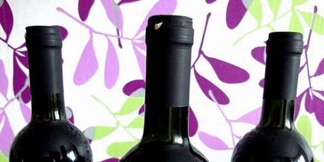 1 lahev červeného vína Nero D´Avola Sicilia v hodnotě 169 Kč