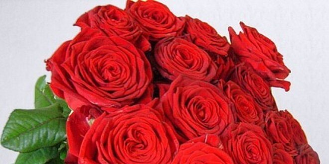 490 Kč za kytici 20 ks nádherných červených růží v původní hodnotě 980 Kč