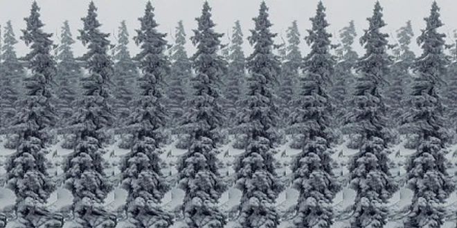 49 Kč za magický trojrozměrný obrázek (stereogram) na míru v hodnotě 99 Kč