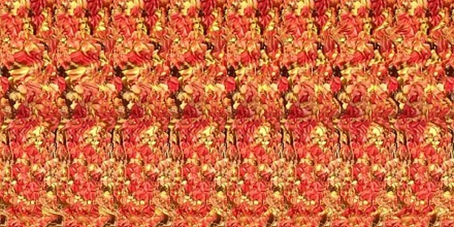 49 Kč za magický trojrozměrný obrázek (stereogram) na míru v hodnotě 99 Kč