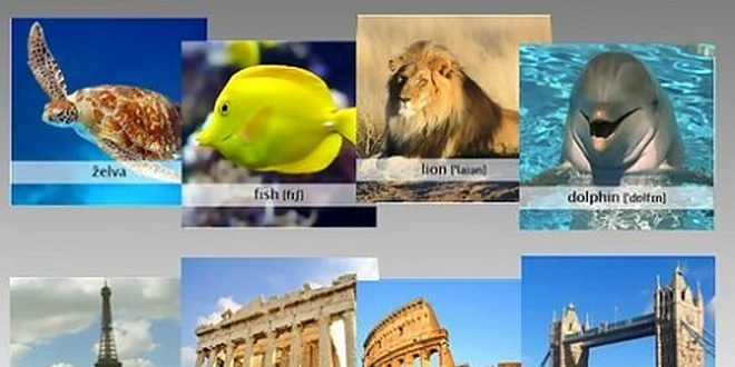 101 Kč za 6 luxusních česko-anglických pexes v původní hodnotě 289 Kč