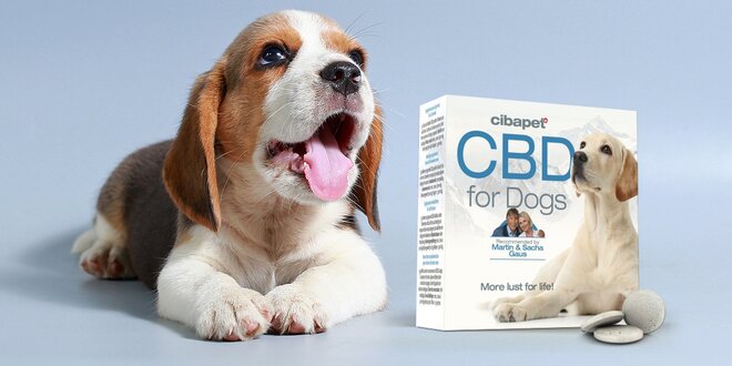 Tablety pro psy na uklidnění a proti bolesti