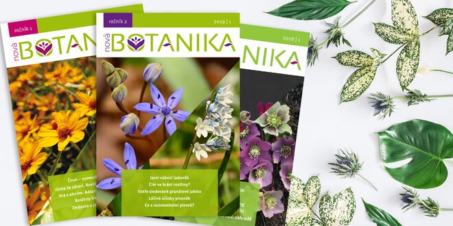 Časopis Nová Botanika v tištěné i digitální verzi