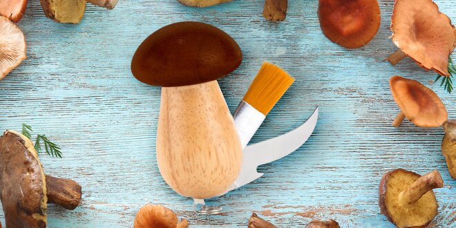 Dřevěný houbařský nůž ve tvaru hříbku se štětečkem