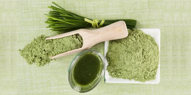 Přísun vitamínů a minerálů: mladý ječmen v prášku