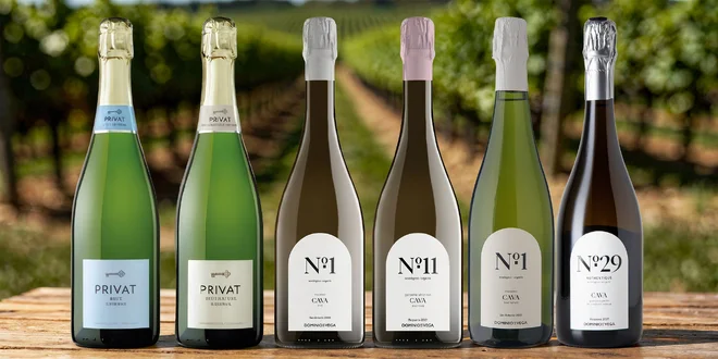 Španělské šumivé víno: katalánská Cava