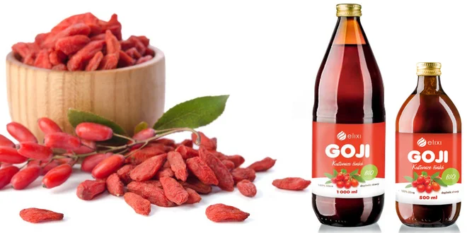 Bio šťáva Active Goji