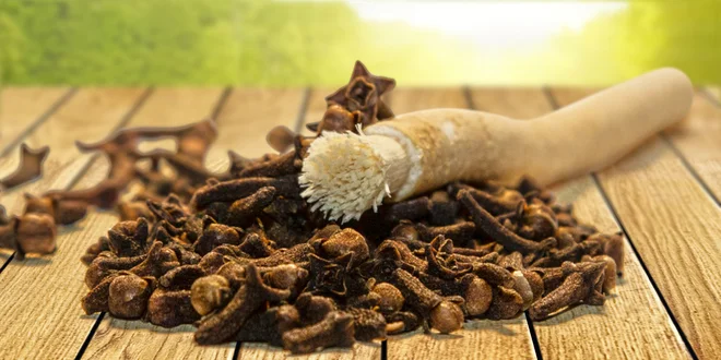 Prírodná kefka Siwak - čistí zuby inak