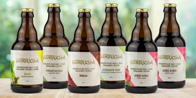 Herbucha: šest lahví bylinkové kombuchy z Moravy