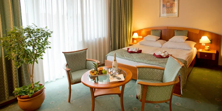 V hotelu Palace**** na vás čeká spousta příležitostí k odpočinku i dobré jídlo a útulné ubytování. 