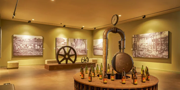 Patříte mezi milovníky umění a kultury? V ceně máte vstup do galerie současného umění Galeria 1425, kterou najdete přímo v hotelu.