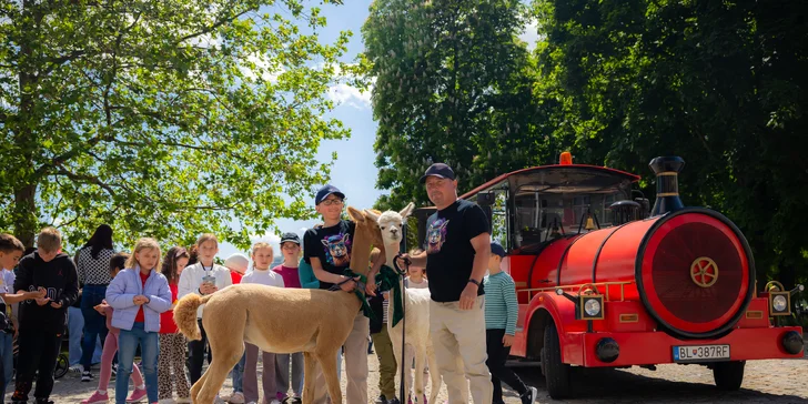 Výlet Vláčikom za alpakami vás zavedie do srdca Bratislavy, kde spolu so slovensky hovoriacim sprievodcom prejdete najznámejšie dominanty mesta v pohodlí červeného vláčika. 