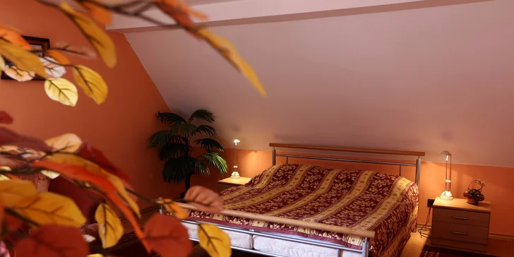 Podkrovná izba so zdieľanou kúpeľňou