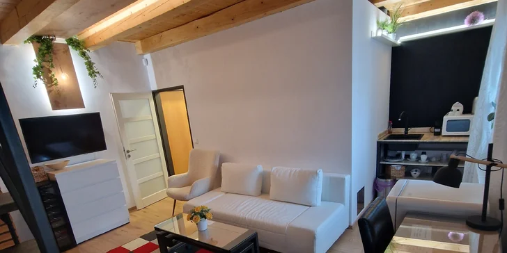 Součástí obou apartmánů je i vlastní kuchyňka. 
