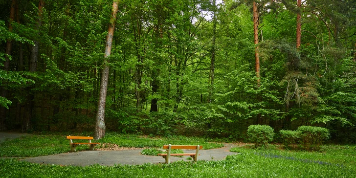 Aj okolité lesy ponúkajú bohaté možnosti trávenia času, napríklad turistikou. 