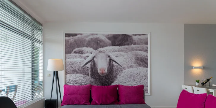 V apartmánoch je dostupná Wi‑Fi, kedykoľvek si môžete pozrieť aj televíziu.