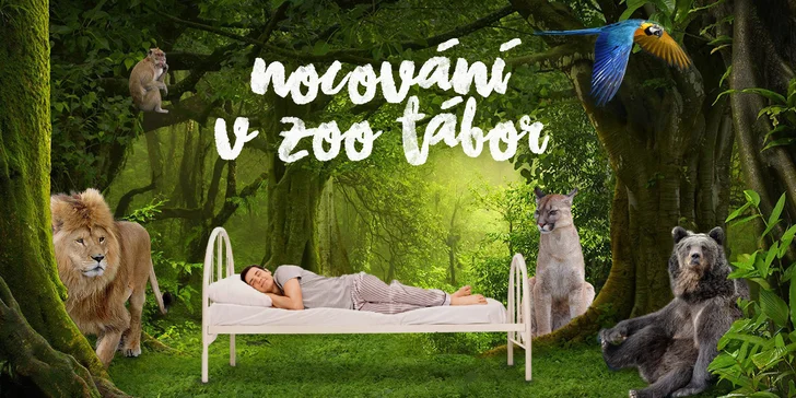 Přenocujte mezi zvířaty: noc v táborské zoo pro 3 osoby včetně vstupenek