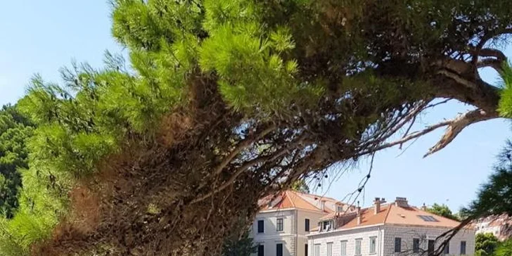 Navštívte pevnosť sv. Ivana pre dychberúci výhľad na celú zátoku.