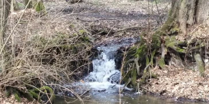 Všude je krásná příroda