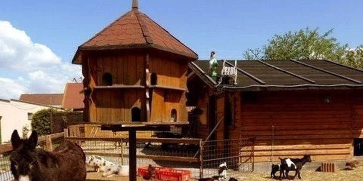 Na mini farmě nezapomeňte pozdravit zvířátka.