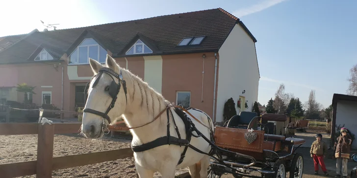 Do kočáru se vejdou 3 dospělí, nebo 2 dospělí a 2 děti.