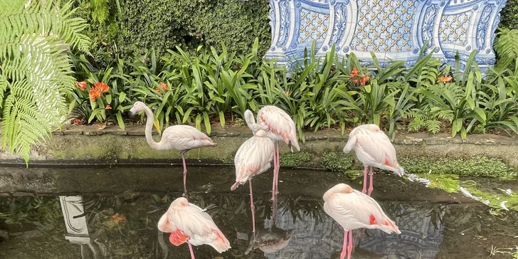 Užijete si návštěvu botanické zahrady.