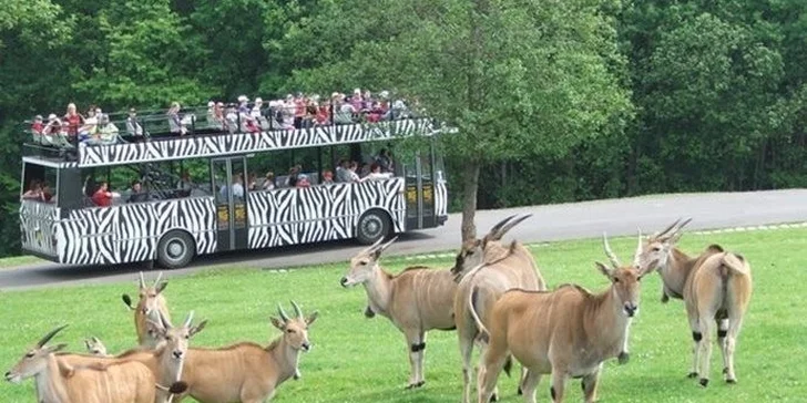 Zoo Dvůr Králové