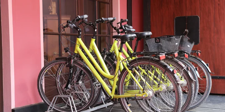 Okolí je ideální na cyklistiku, je tu řada cyklostezek. 