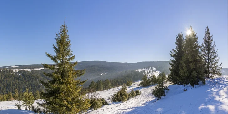Horský Hotel Brezovica** sa nachádza rovno pri zjazdovkách strediska Ski centrum Brezovica. 