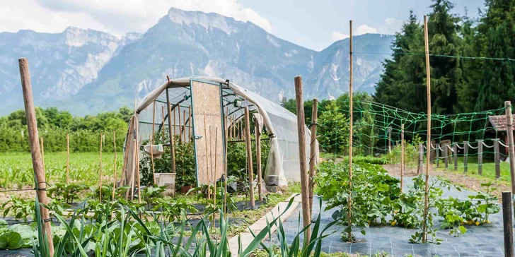 Kuchári v reštaurácii používajú plodiny z vlastnej bio záhrady.