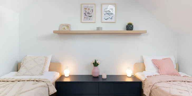 Věděli jste, že Polsko je jednou z nejvíce pet friendly evropských oblastí?