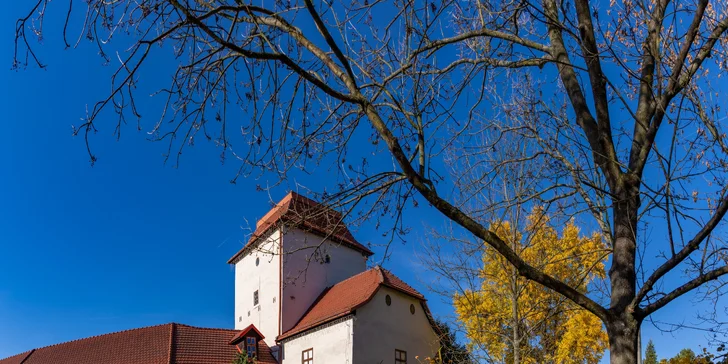 Blízko je i Slezskoostravský hrad.